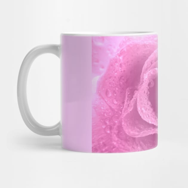 Pink Rose by Dale Preston Design